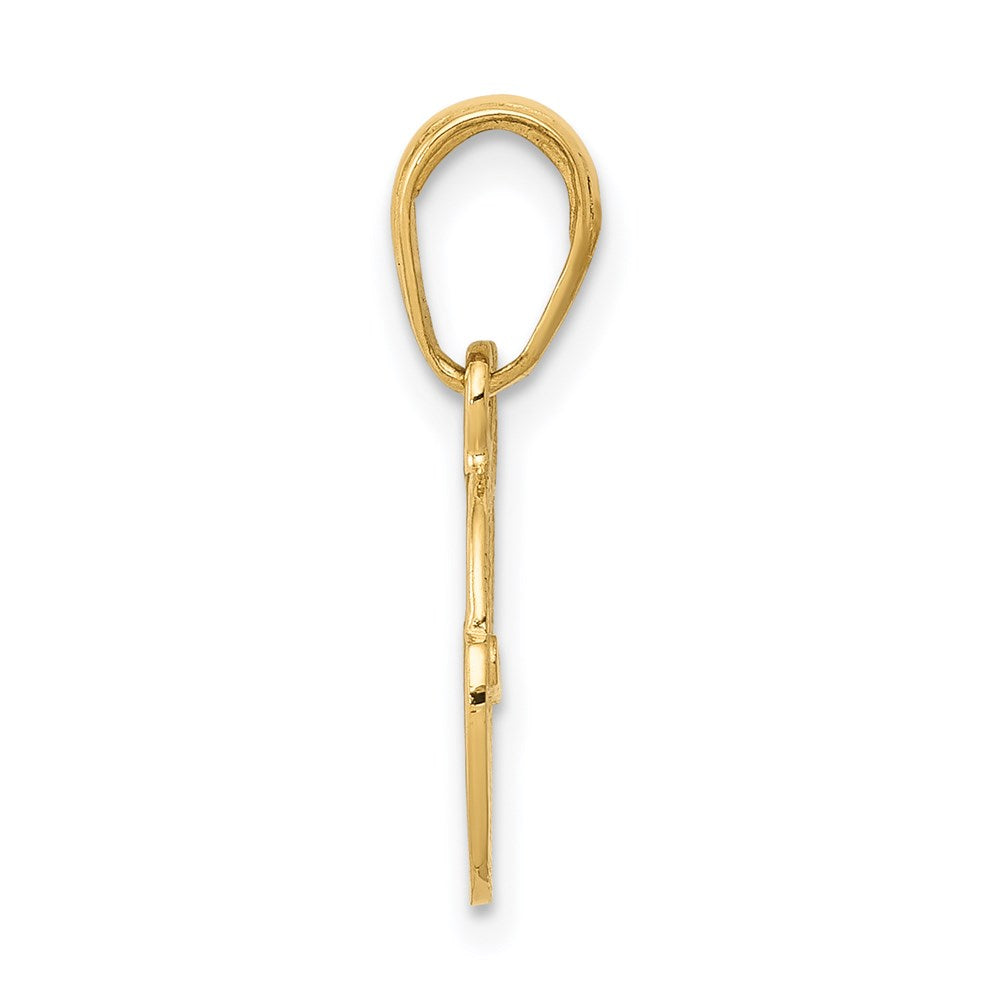 Million Charms 14K Yellow Gold Themed Polished Key & Lock Charm