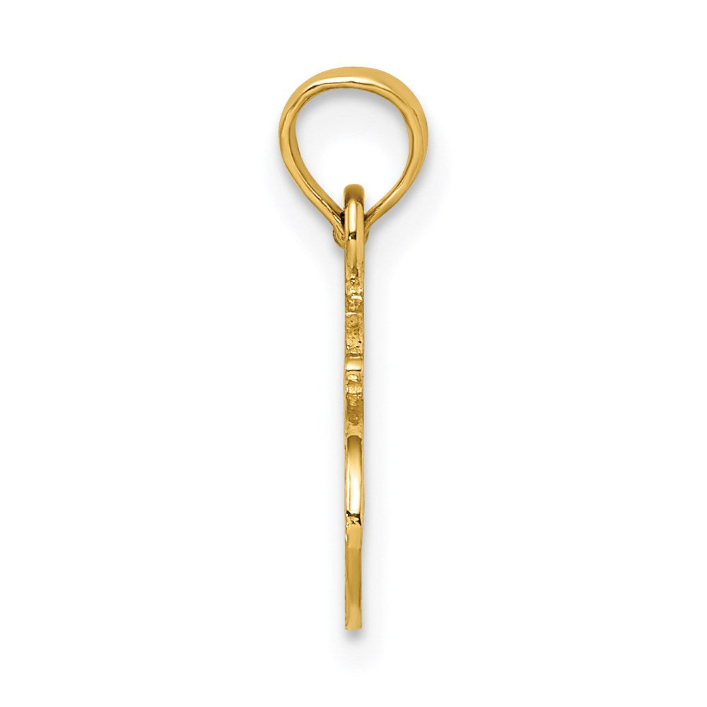 Million Charms 14K Yellow Gold Themed #1 Auntie Charm