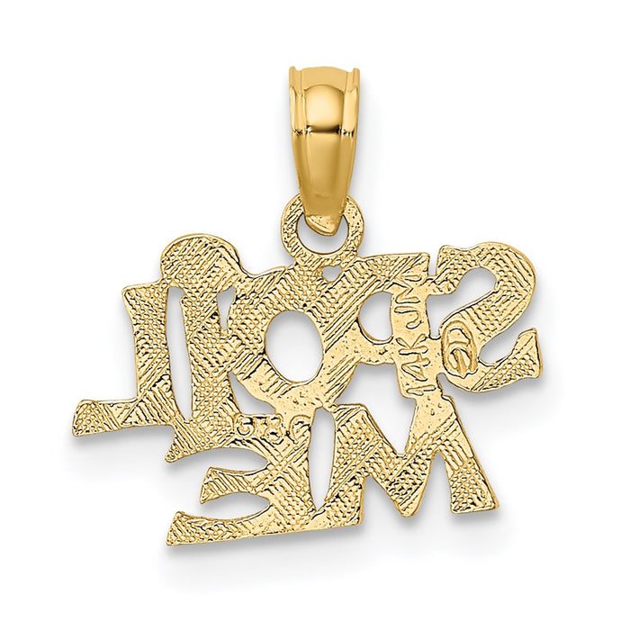 Million Charms 14K Yellow Gold Themed Spoil Me Charm