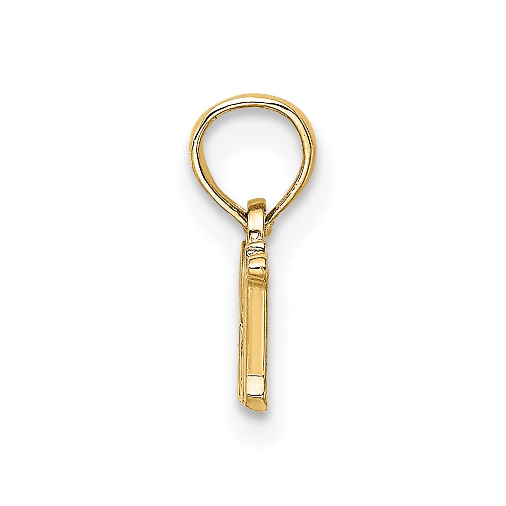 Million Charms 14K Yellow Gold Themed RN (Registered Nurse) Charm