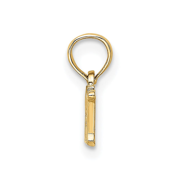Million Charms 14K Yellow Gold Themed RN (Registered Nurse) Charm