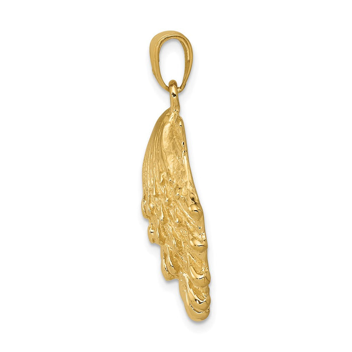 Million Charms 14K Yellow Gold Themed Lion'S Paw Shell Pendant