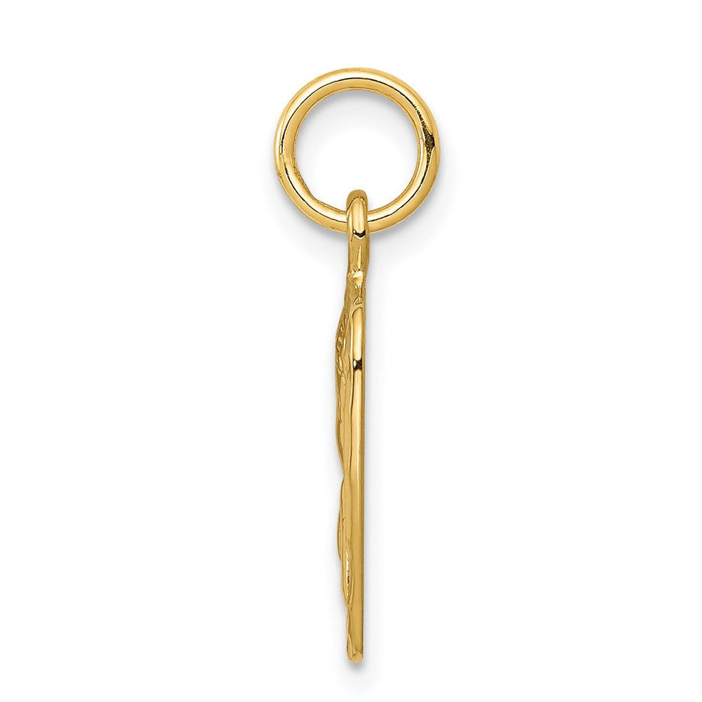 Million Charms 14K Yellow Gold Themed Satin & Diamond -Cut Angel Charm