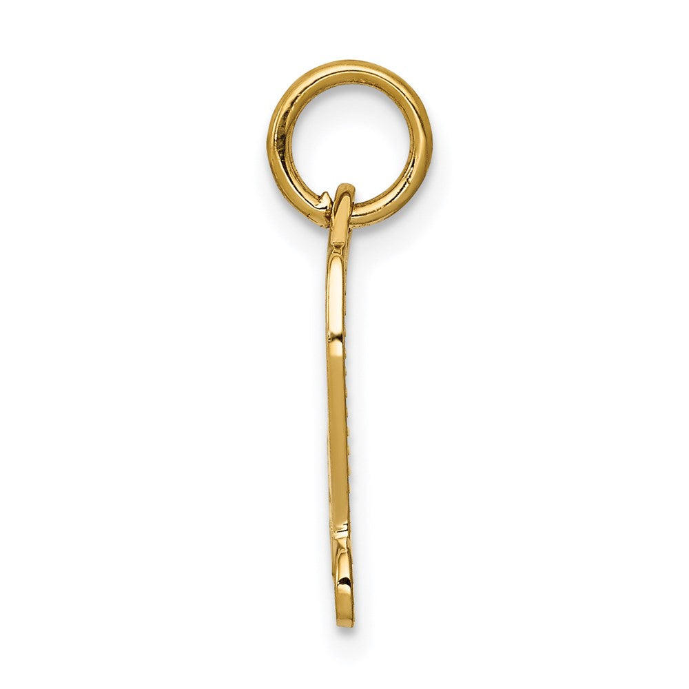 Million Charms 14K Yellow Gold Themed Diploma Charm