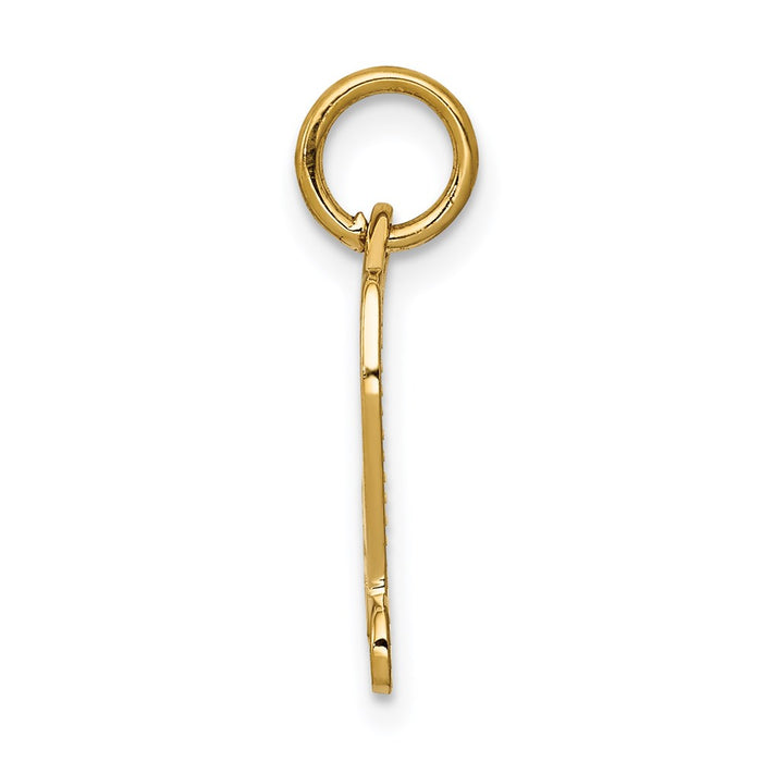 Million Charms 14K Yellow Gold Themed Diploma Charm