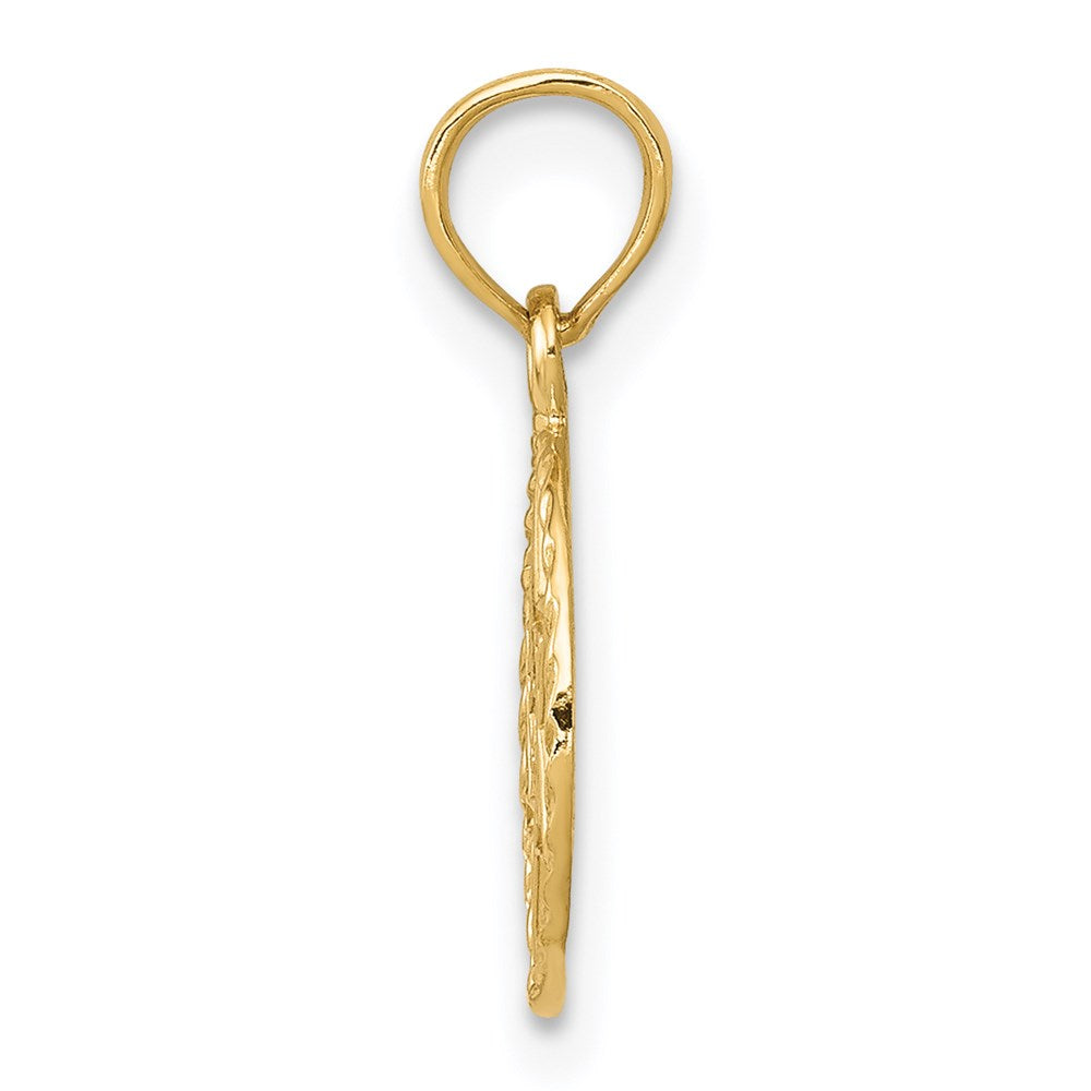 Million Charms 14K Yellow Gold Themed Religious Jewish Star Of David In Circle Frame Pendant