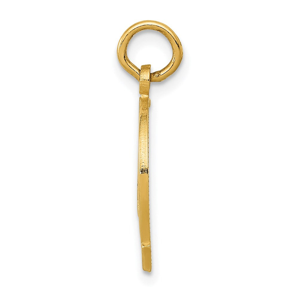 Million Charms 14K Yellow Gold Themed Horseshoe Charm