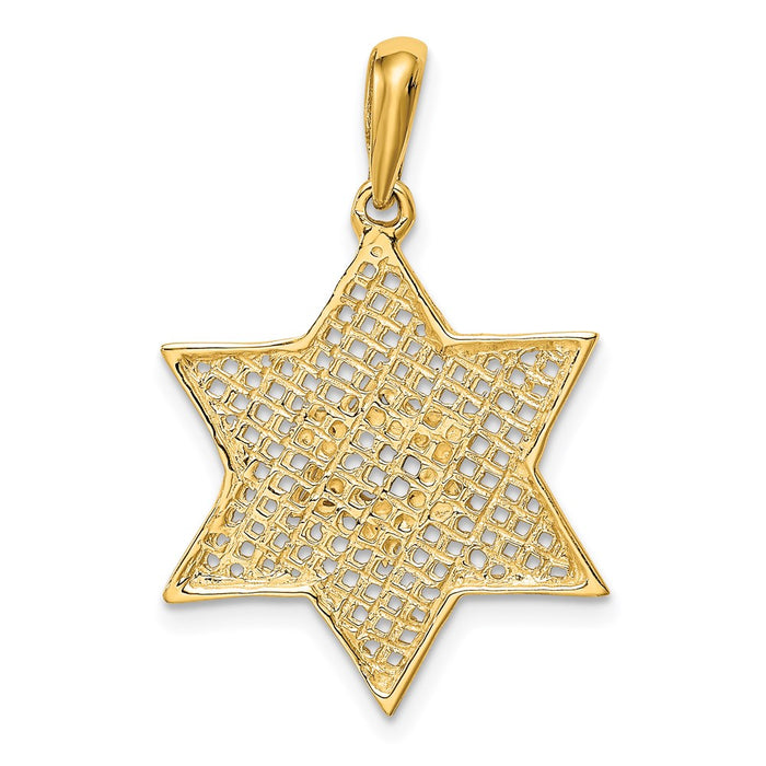 Million Charms 14K & Rhodium-plated Solid Polished Meshed Religious Jewish Star Of David Charm