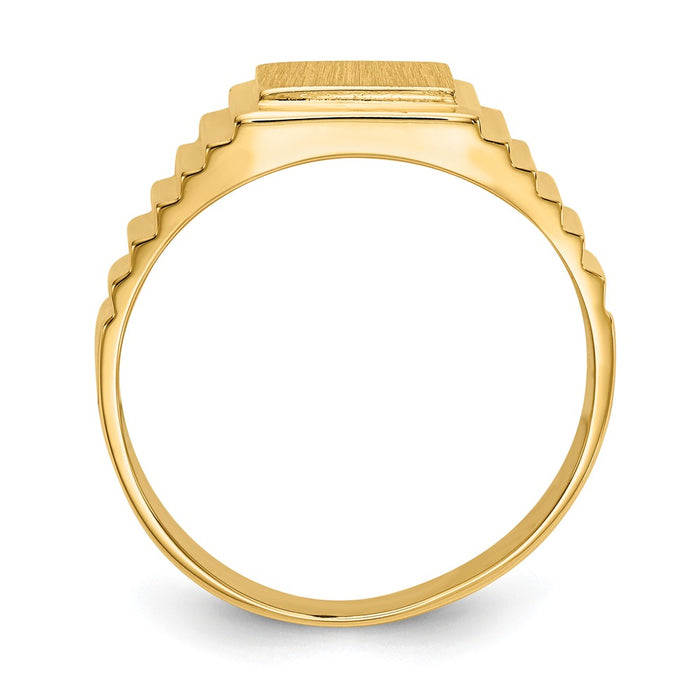 14k Yellow Gold 10.0x8.5mm Open Back Men's Signet Ring, Size: 10