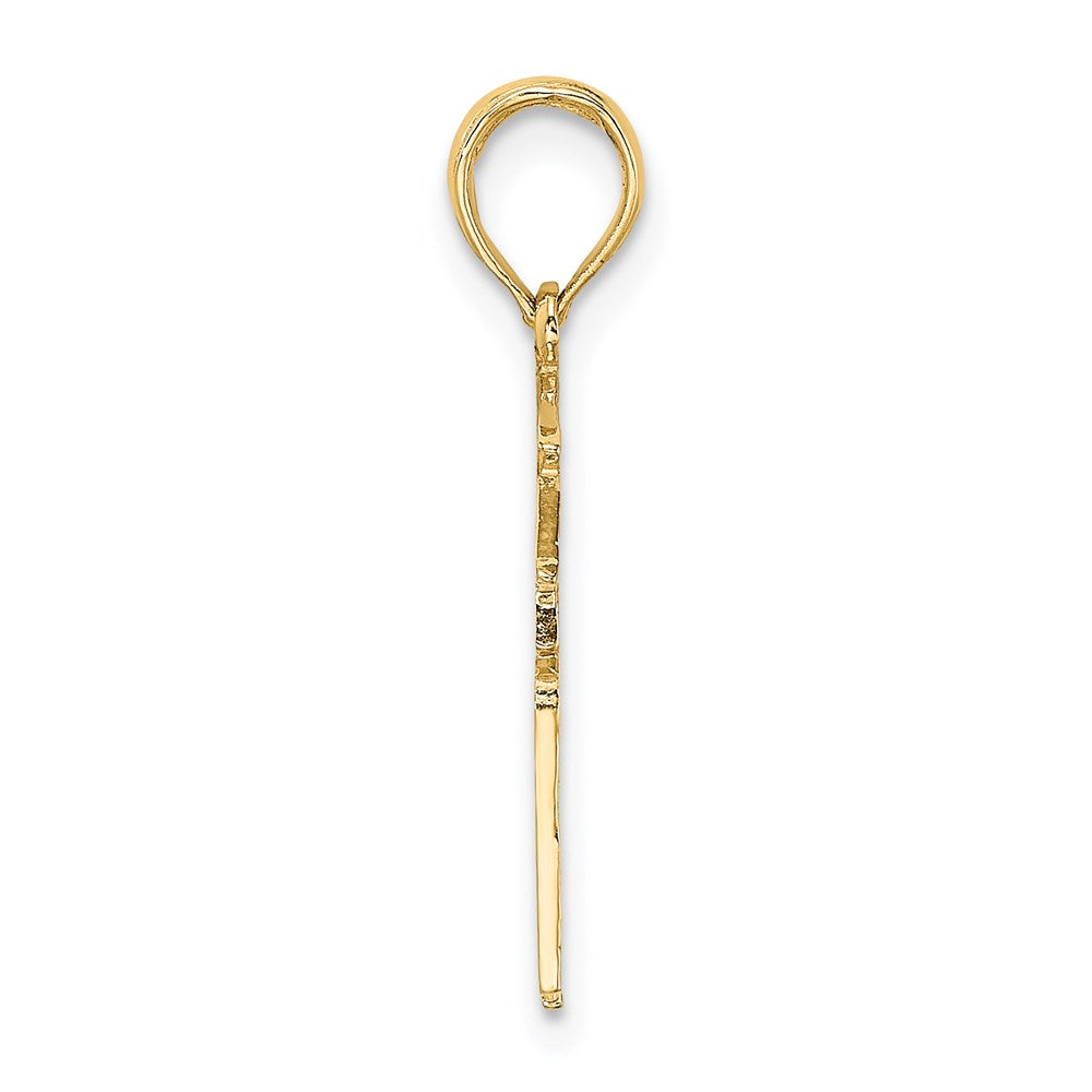 Million Charms 14K Yellow Gold Themed Registered Nurse Charm