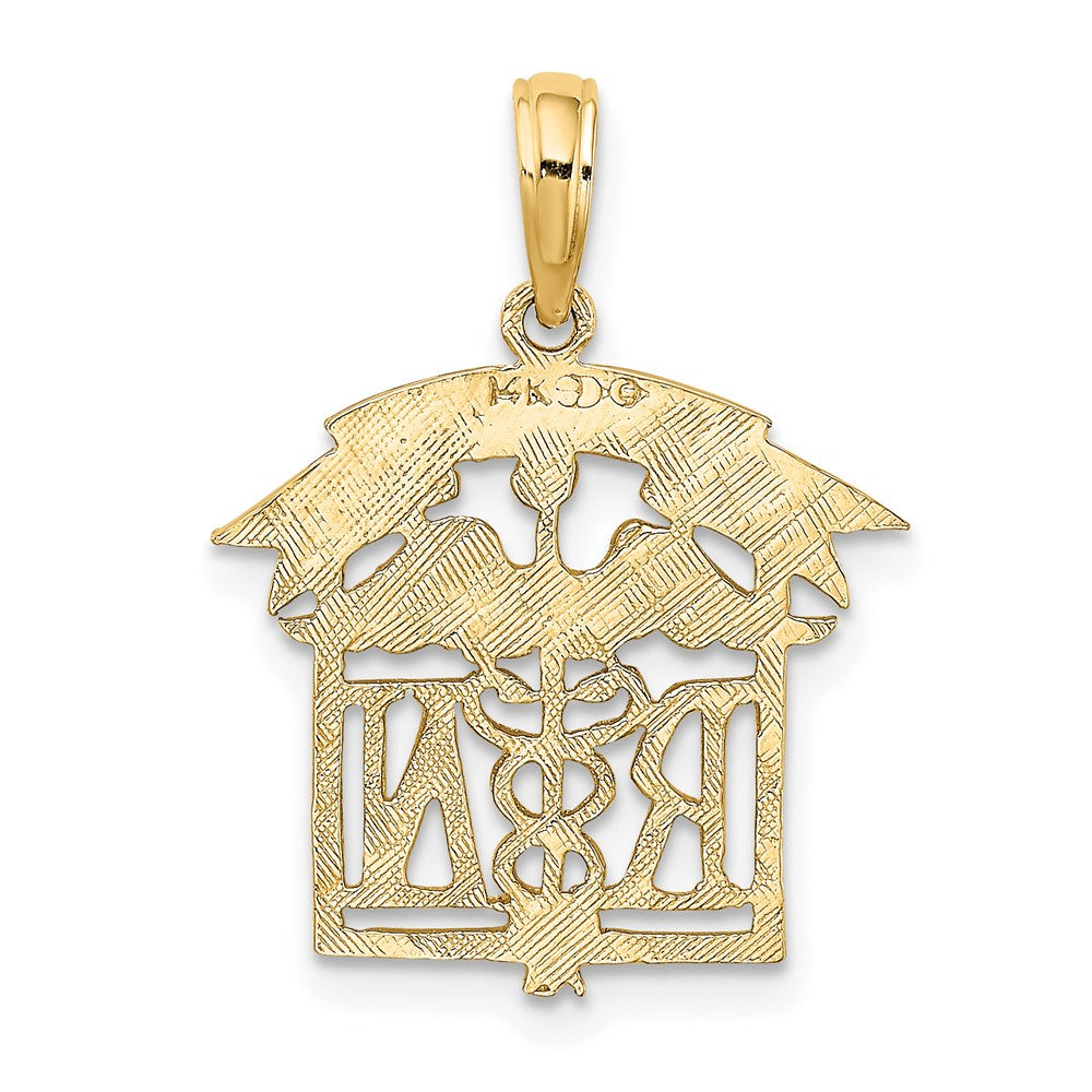 Million Charms 14K Yellow Gold Themed Registered Nurse Charm