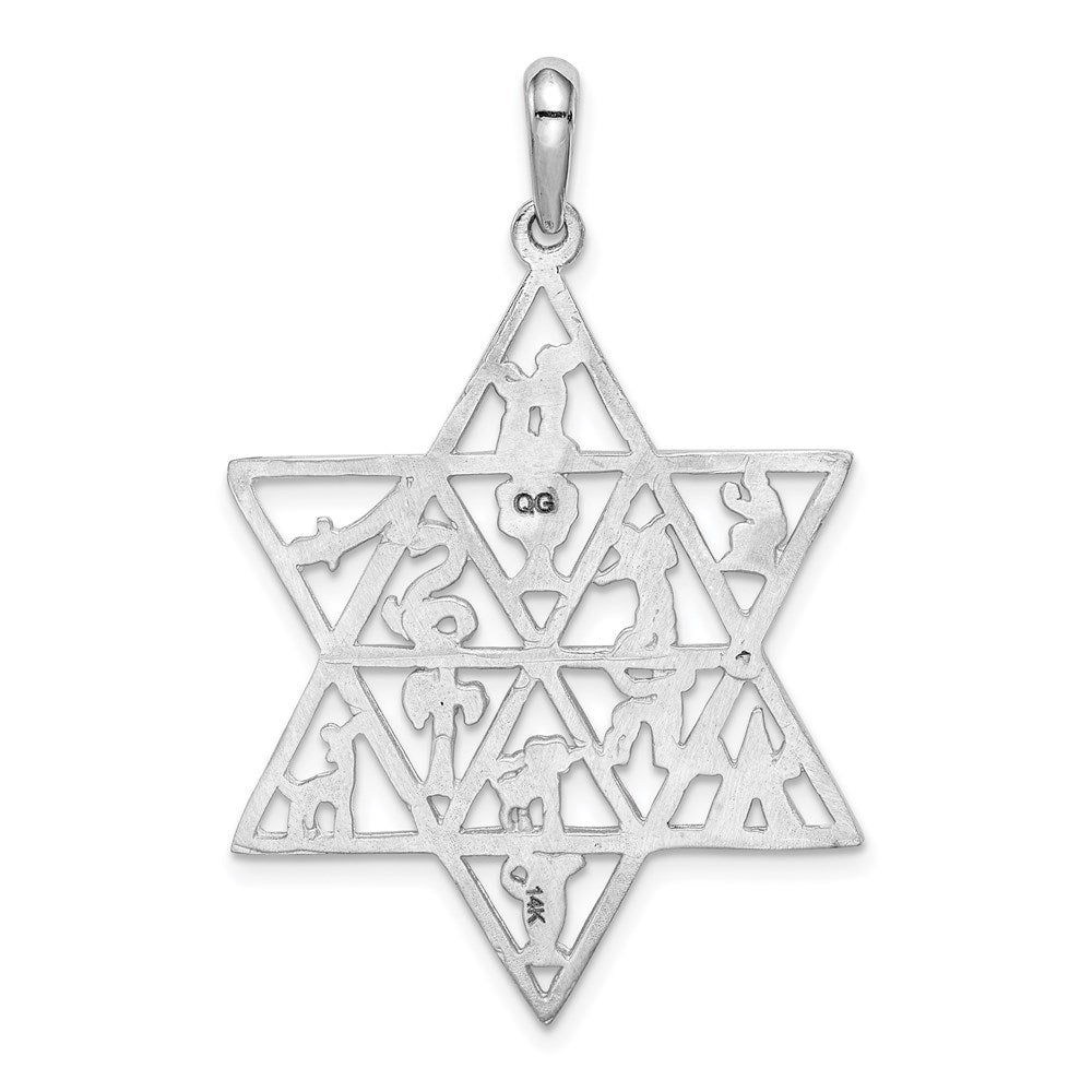Million Charms 14K White Gold Themed 12 Tribes Religious Jewish Star Of David Pendant