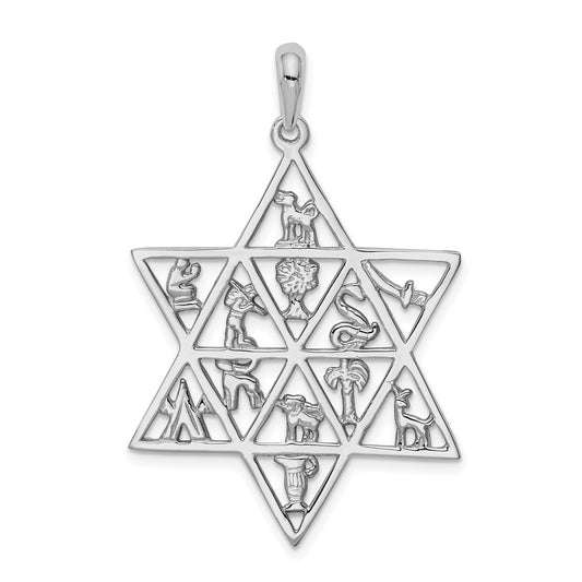Million Charms 14K White Gold Themed 12 Tribes Religious Jewish Star Of David Pendant