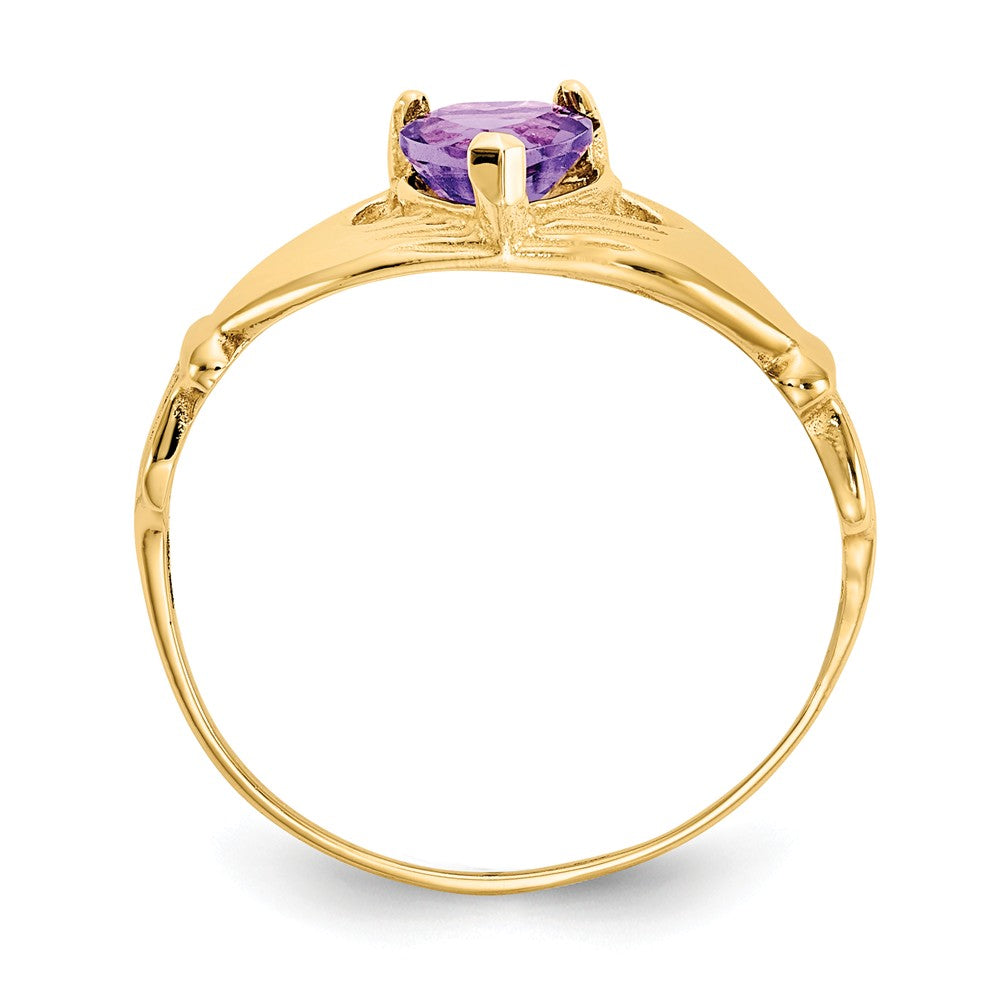 14k Yellow Gold CZ February Birthstone Claddagh Heart Ring, Size: 7