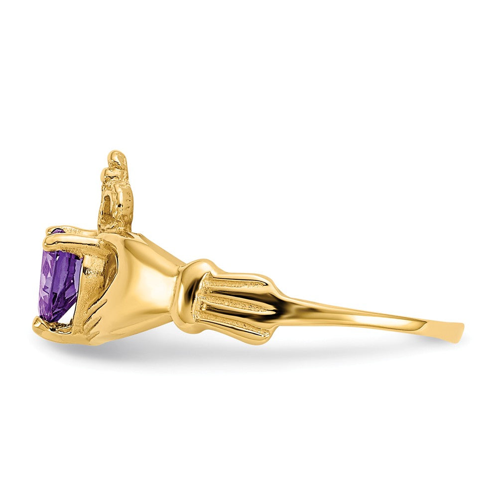 14k Yellow Gold CZ February Birthstone Claddagh Heart Ring, Size: 7
