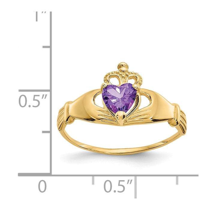 14k Yellow Gold CZ February Birthstone Claddagh Heart Ring, Size: 7