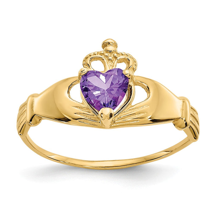 14k Yellow Gold CZ February Birthstone Claddagh Heart Ring, Size: 7
