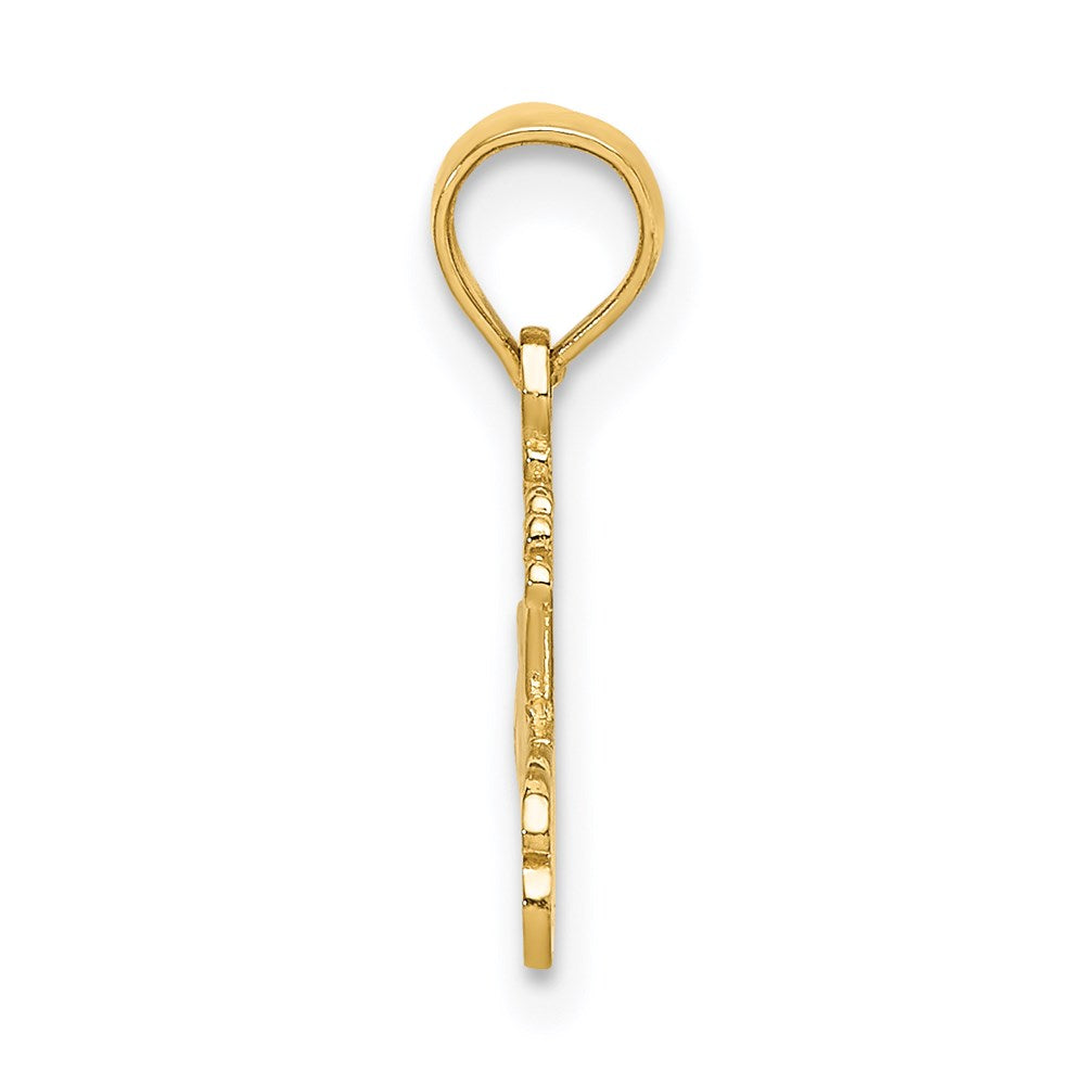 Million Charms 14K Yellow Gold Themed #1 Princess Charm