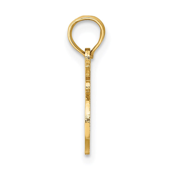 Million Charms 14K Yellow Gold Themed 100% Leo Charm