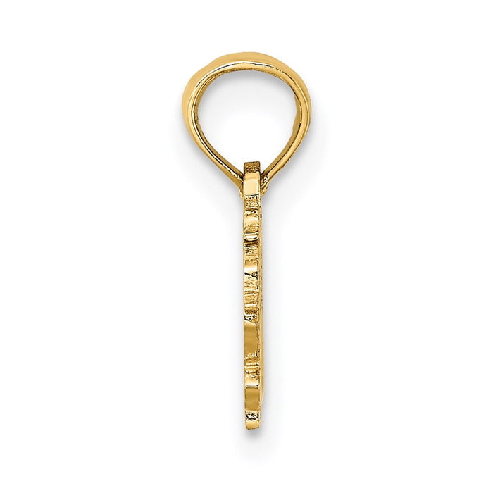 Million Charms 14K Yellow Gold Themed 100% Virgo Charm