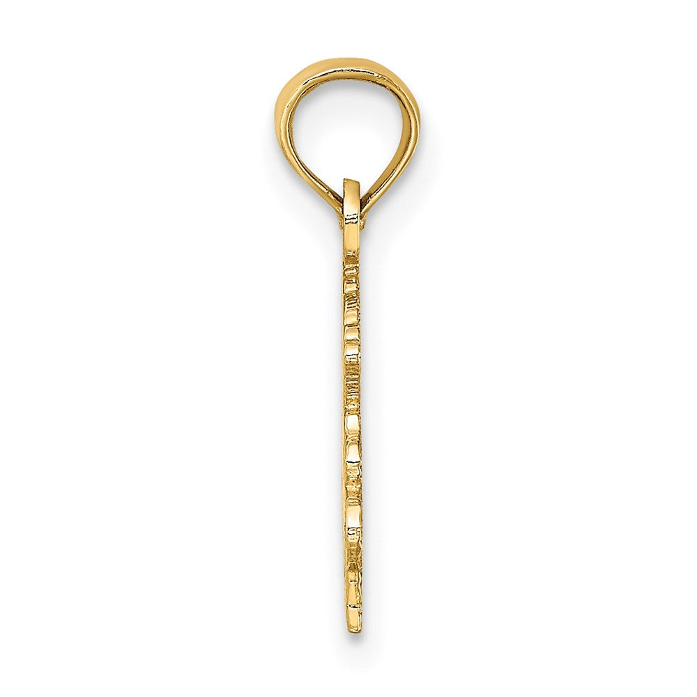 Million Charms 14K Yellow Gold Themed 100% Capricorn Charm