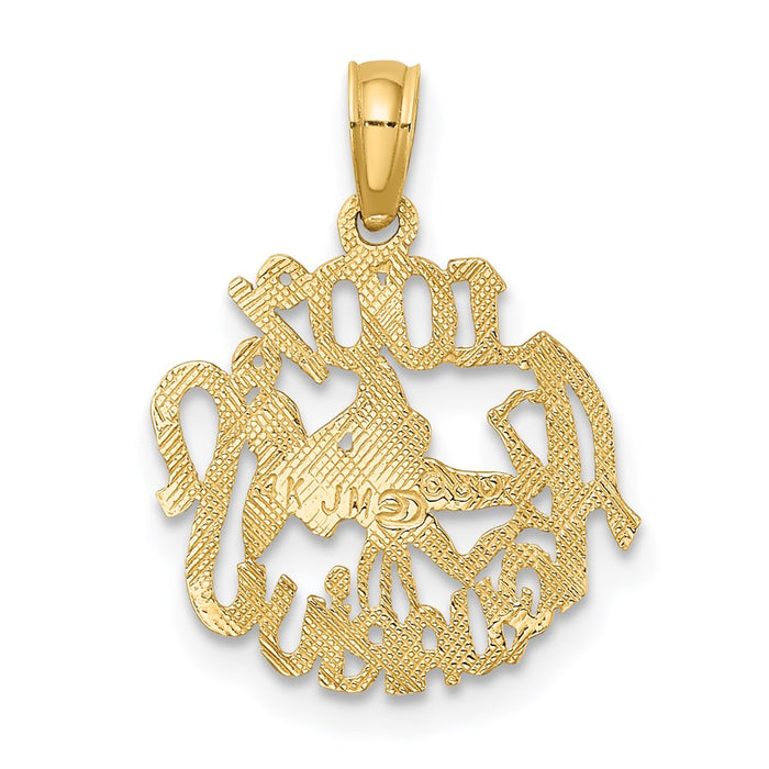 Million Charms 14K Yellow Gold Themed 100% Aquarius Charm