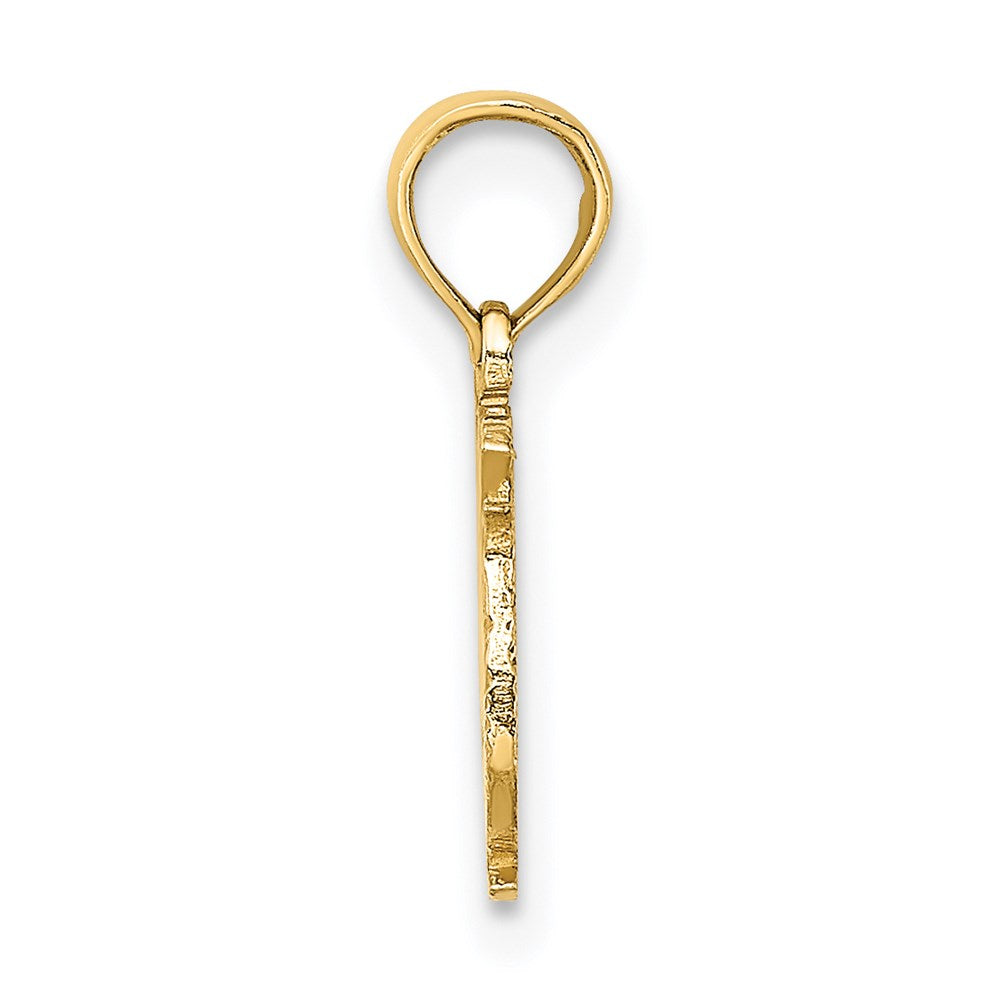 Million Charms 14K Yellow Gold Themed 100% Pisces Charm