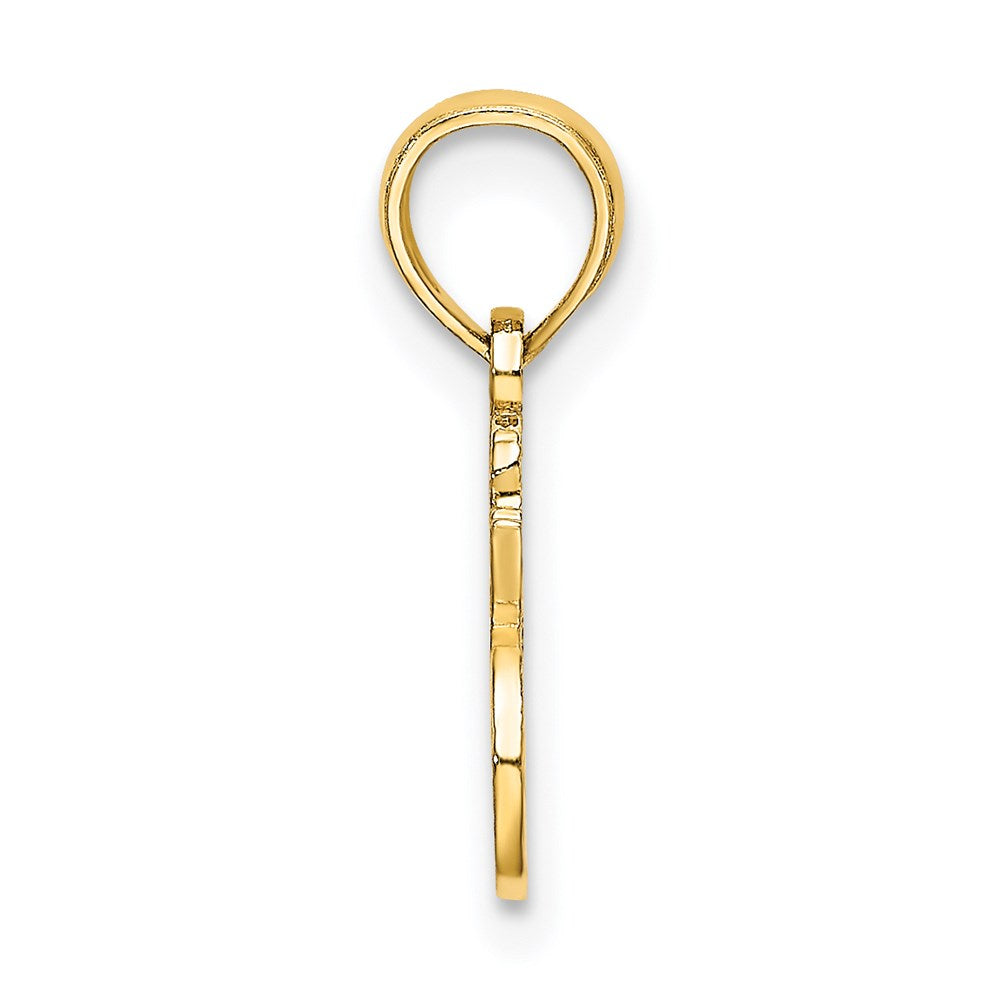 Million Charms 14K Yellow Gold Themed I Heart My Bird Charm