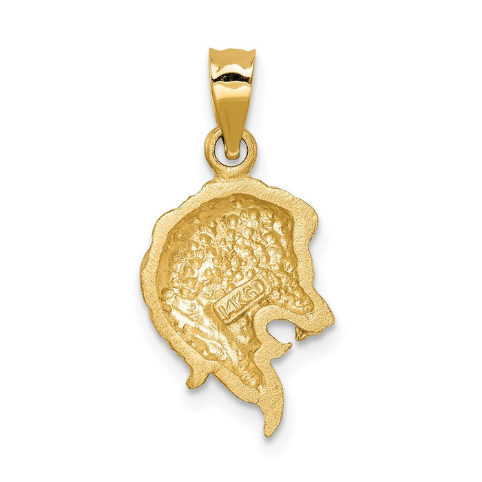 Million Charms 14K Yellow Gold Themed Brushed & Diamond-Cut Lion Head Pendant