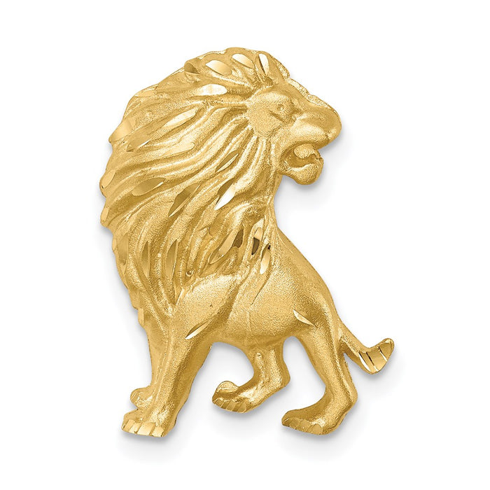 Million Charms 14K Yellow Gold Themed Brushed & Diamond-Cut Lion Chain Slide