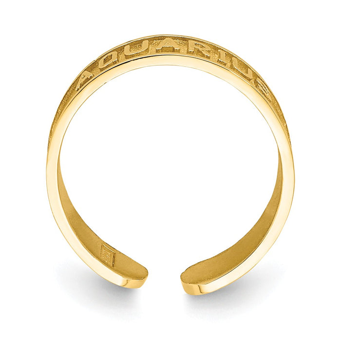 14k Yellow Gold Brushed & Polished Zodiac Aquarius Toe Ring
