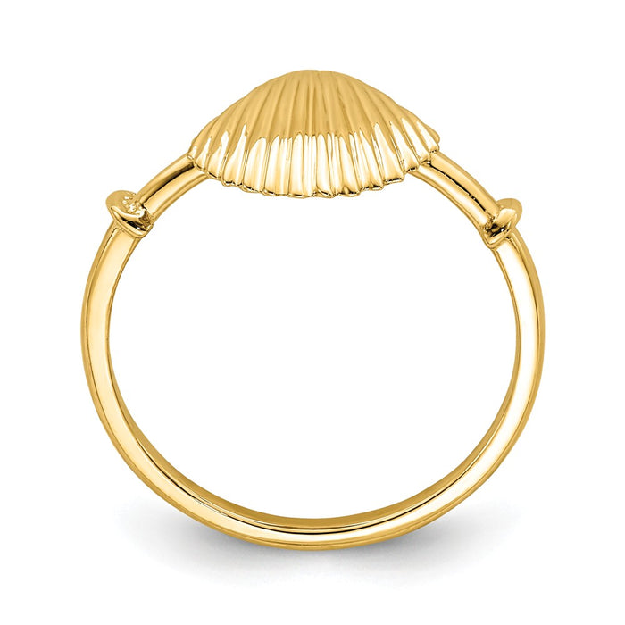14k Yellow Gold Polished Shell Ring, Size: 5