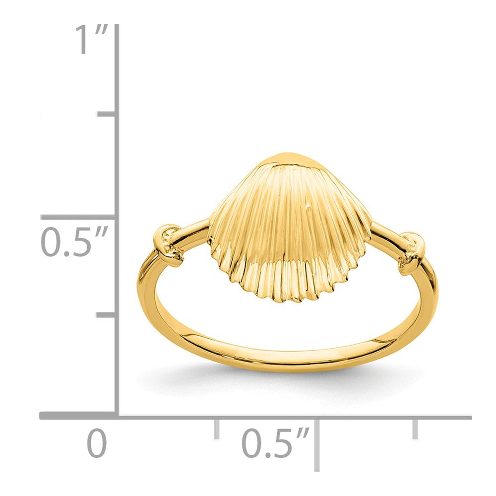 14k Yellow Gold Polished Shell Ring, Size: 5
