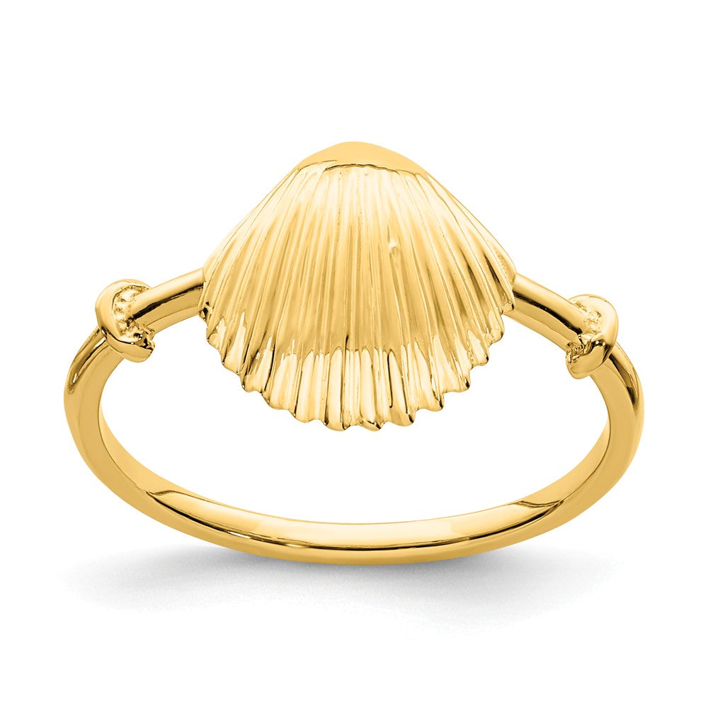 14k Yellow Gold Polished Shell Ring, Size: 5