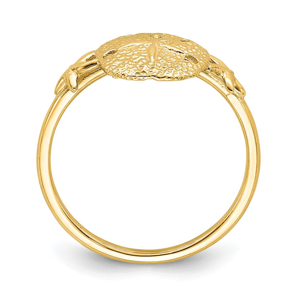 14k Yellow Gold Polished Sand Dollar Ring, Size: 7