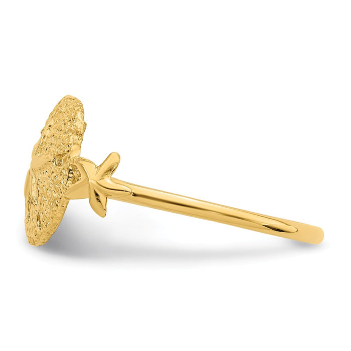 14k Yellow Gold Polished Sand Dollar Ring, Size: 7