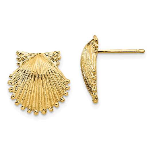 Million Charms 14k Yellow Gold Shell Earrings, 15mm x 14mm