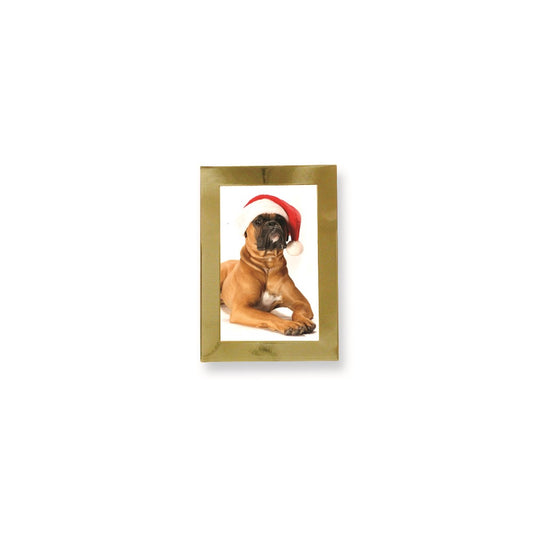 Occasion Gallery Solid Brass 3.5x5 Photo Picture Frame