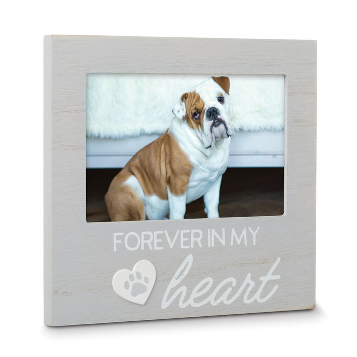 Keepsake Bereavement Grey Forever in My Heart Pet Memorial Remembrance Photo Frame