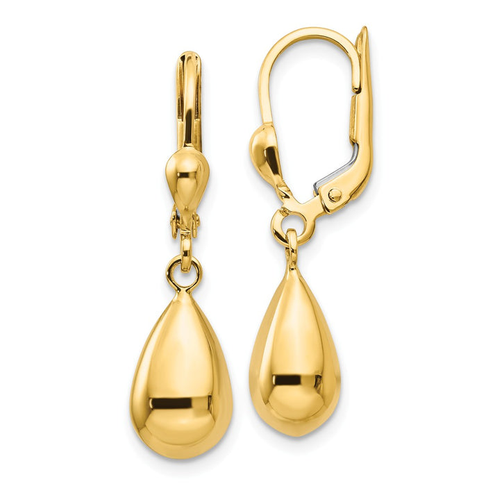 Million Charms 14k Yellow Gold Polished Fancy Dangle Leverback Earrings, 29mm x 7mm