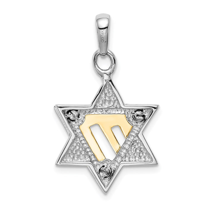 Million Charms 14K Two-Tone Religious Jewish Star Of David Pendant