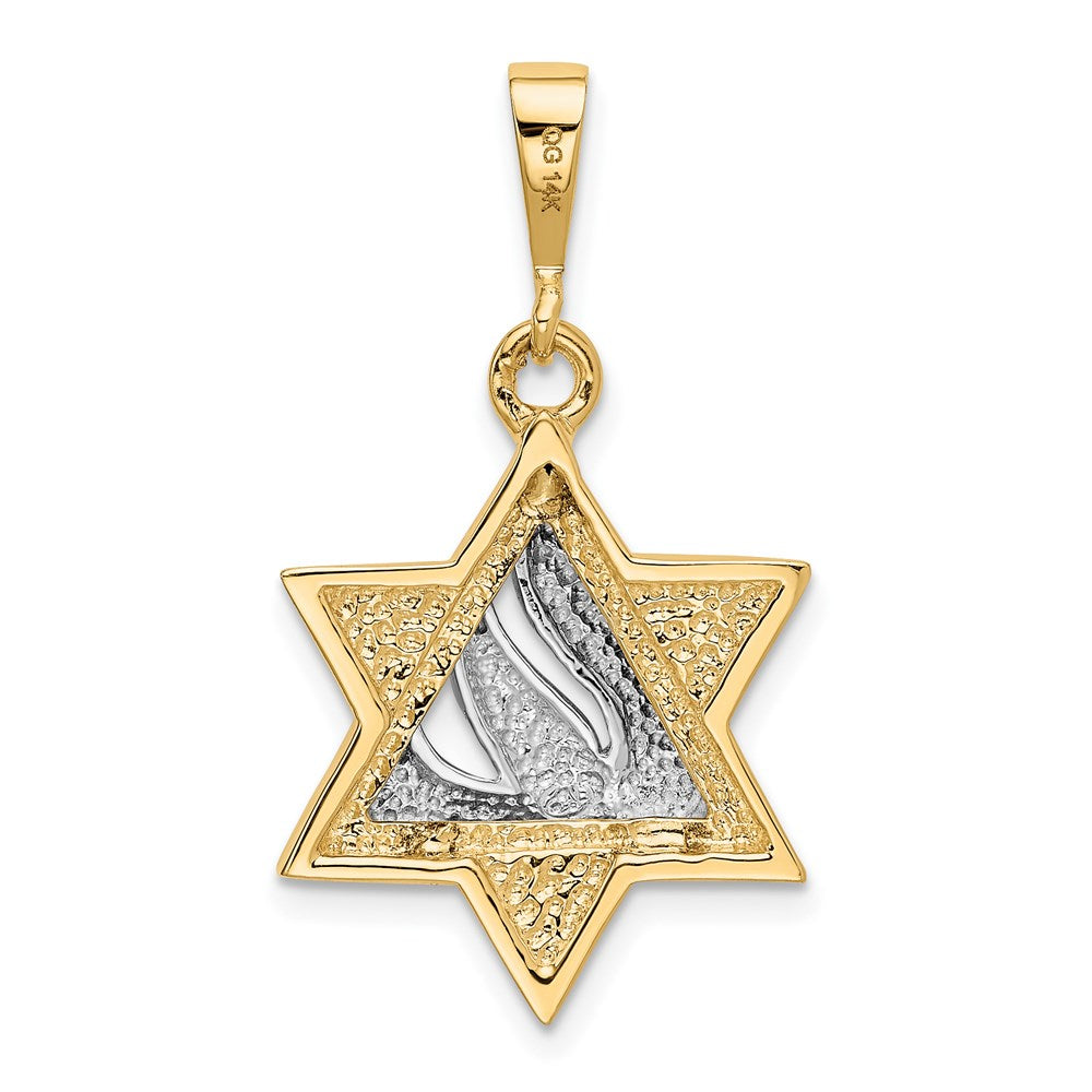 Million Charms 14K Two-Tone Religious Jewish Star Of David Pendant
