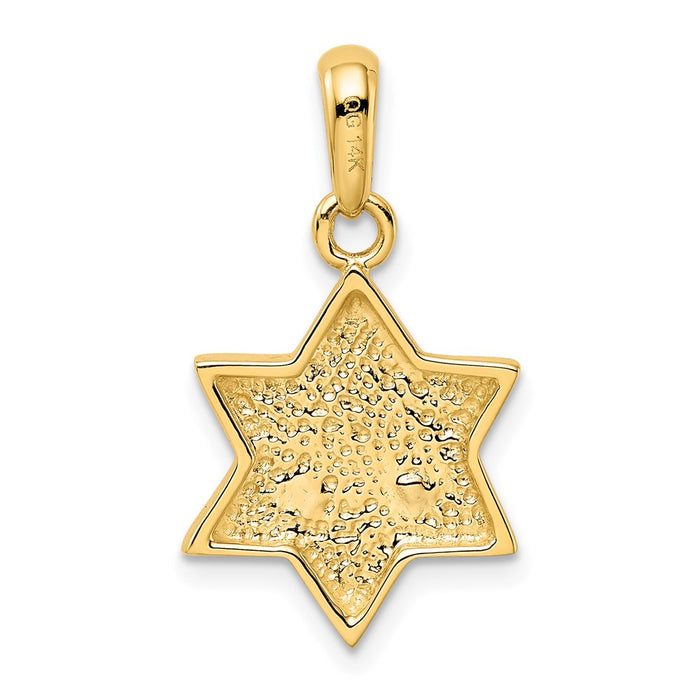 Million Charms 14K Two-Tone Chai On Religious Jewish Star Of David Pendant