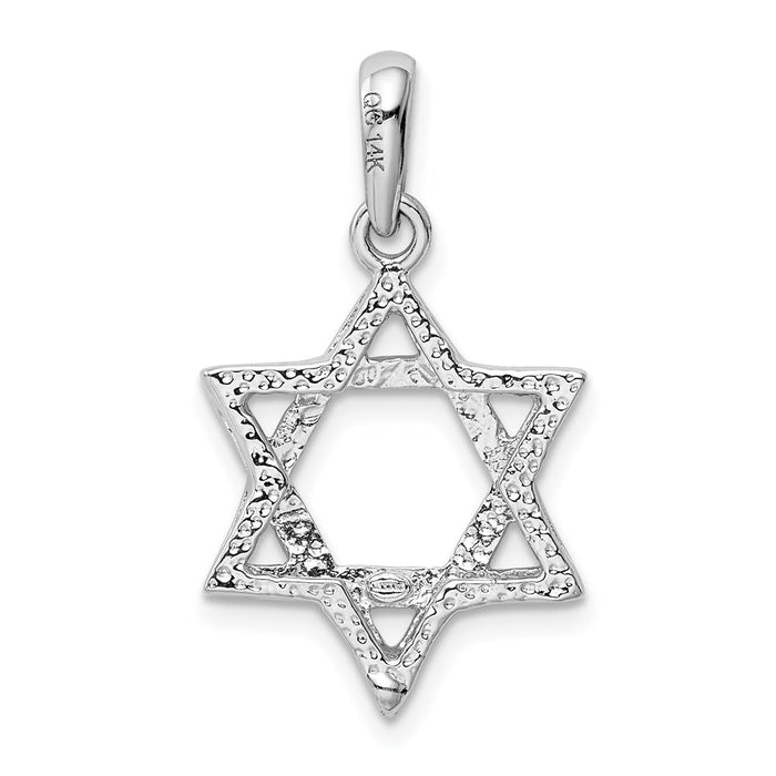 Million Charms 14K White Gold Themed Religious Jewish Star Of David Pendant