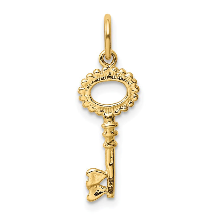 Million Charms 14K Yellow Gold Themed Polished Key Charm