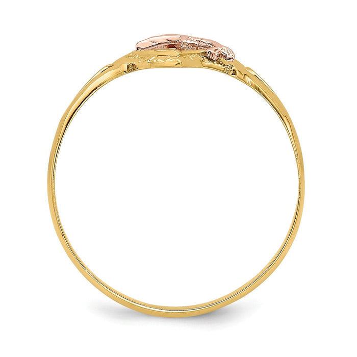 14k Yellow & Rose Gold with Rhodium Dolphin in Heart Ring, Size: 7