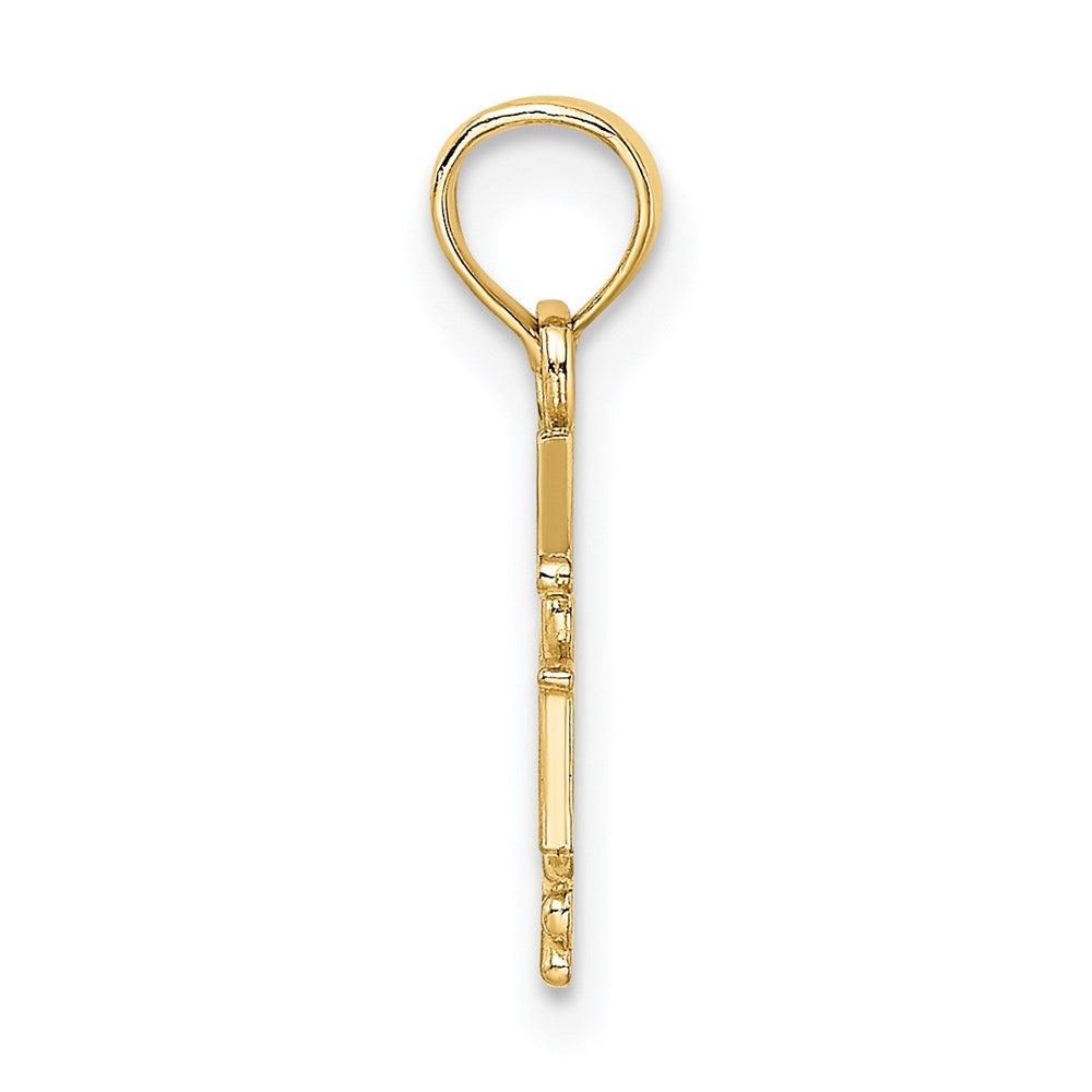 Million Charms 14K Yellow Gold Themed RN (Registered Nurse) Caduceus Charm