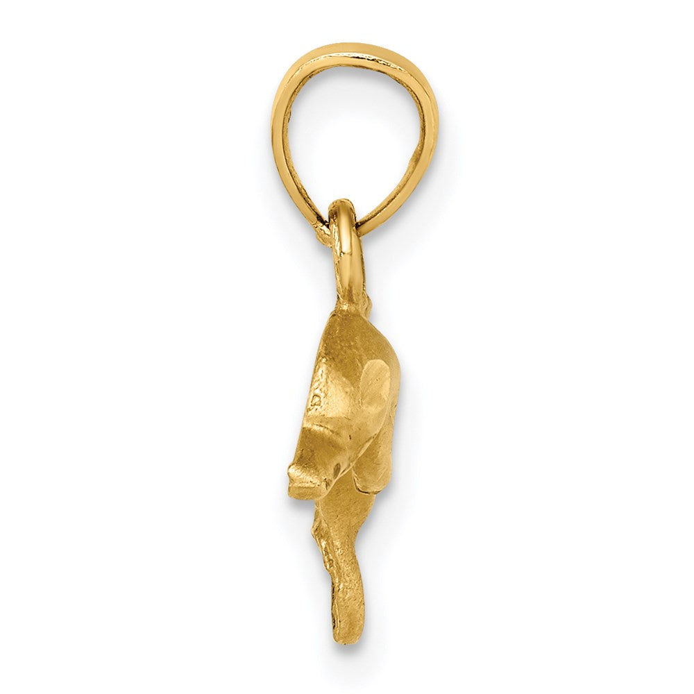 Million Charms 14K Yellow Gold Themed Dolphin Pendant