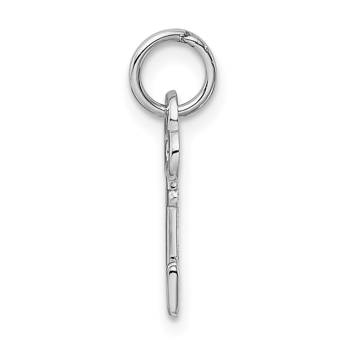 Million Charms 14K White Gold Themed N Key Charm