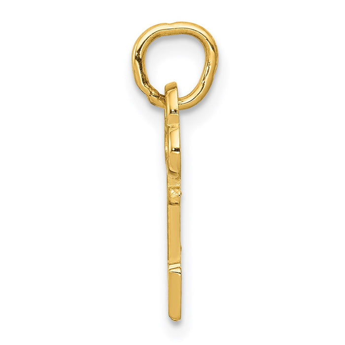 Million Charms 14K Yellow Gold Themed N Key Charm